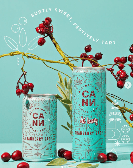 Photograph of product: CANN Social Tonic 6pk - Lemon Lavender 6pk