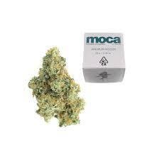 Photograph of product: Moca Gelonade $35