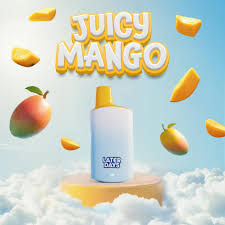 Photograph of product: Later Days - Juicy Mango - 2g Disposable