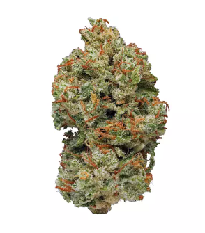 Photograph of product: AMA | Honey Pot 7g