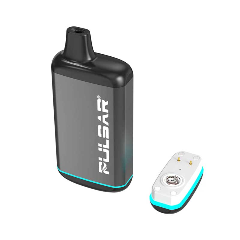 Photograph of product: Pulsar Battery $25