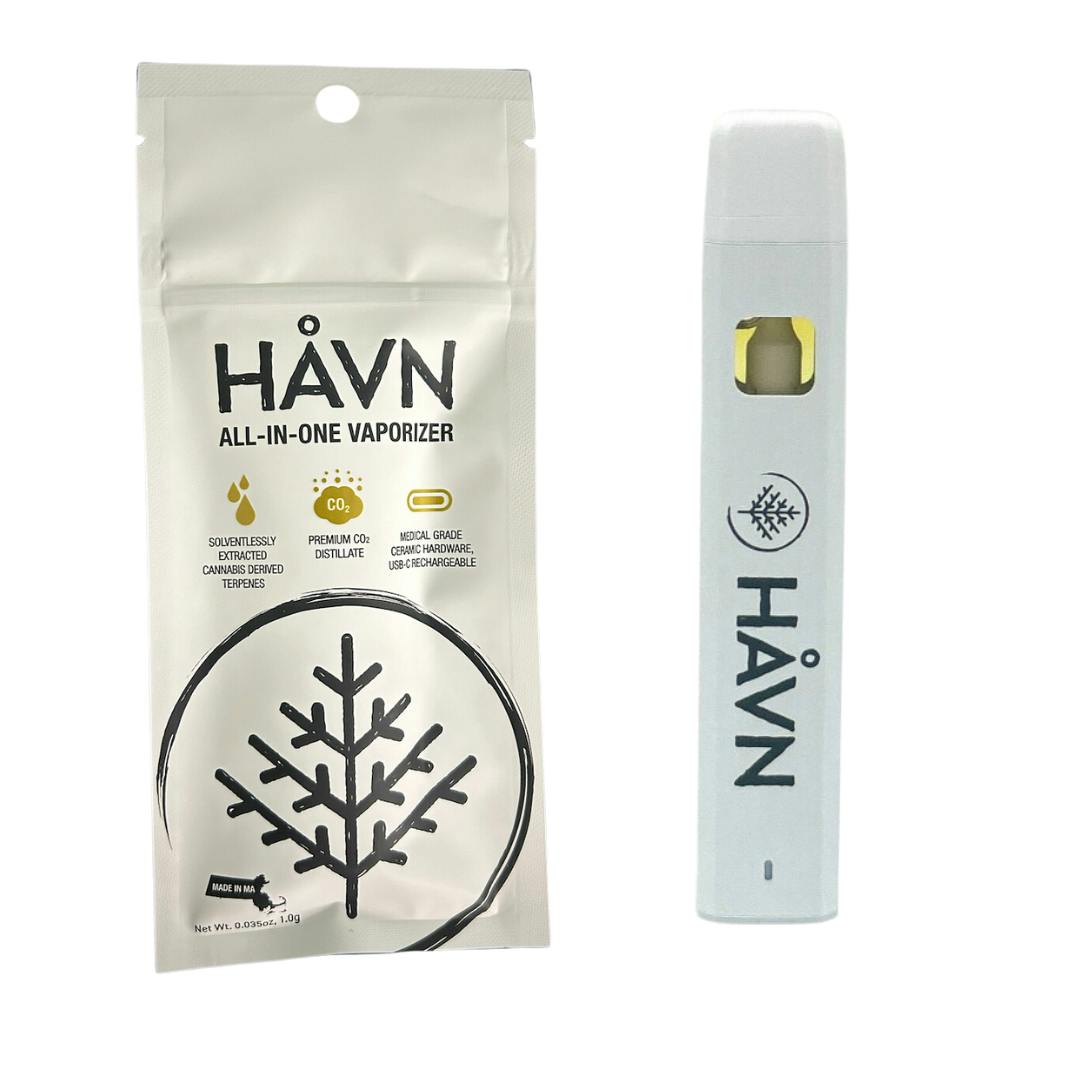Photograph of product: HAVN - Train Wreck - 1g Disposable