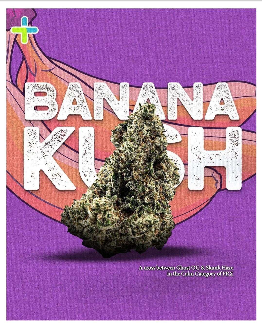 Photograph of product: Banana Kush | 7g