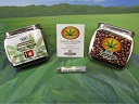 Photograph of product: Northern Lights - Fem Seeds 3pk