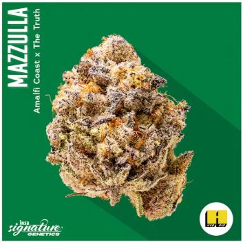 Photograph of product: Mazzulla - 3.5g