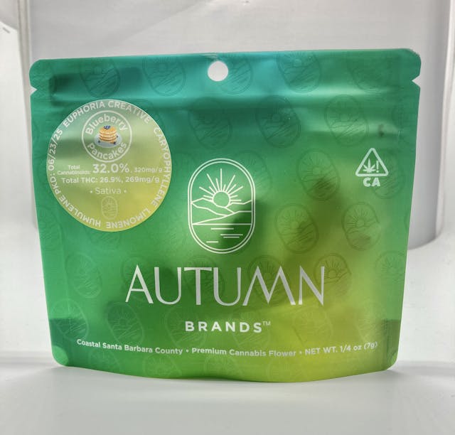 Photograph of product: Blueberry Pancakes 7g - 