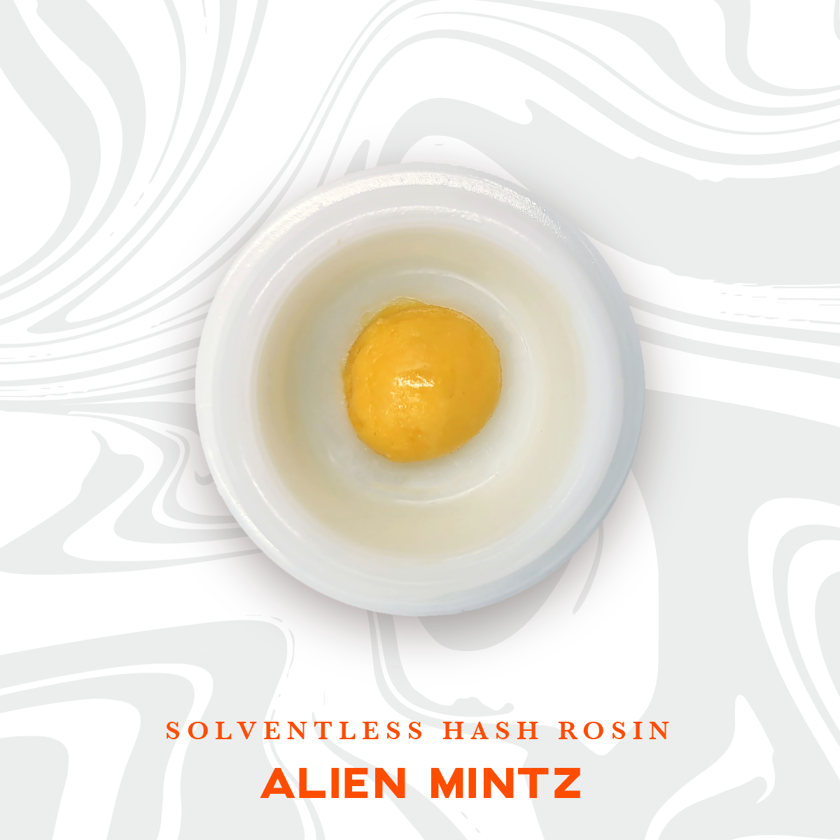 Photograph of product: Alien Mintz au chocolat Rosin