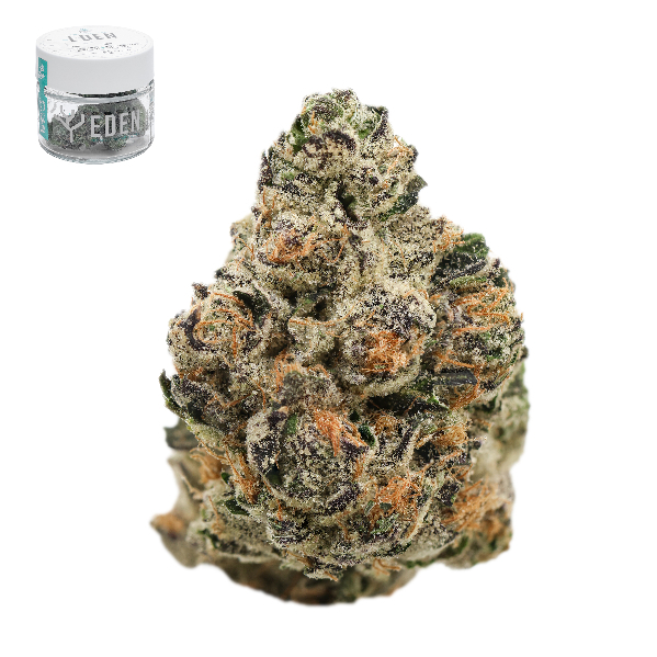 Photograph of product: PINK KITTY