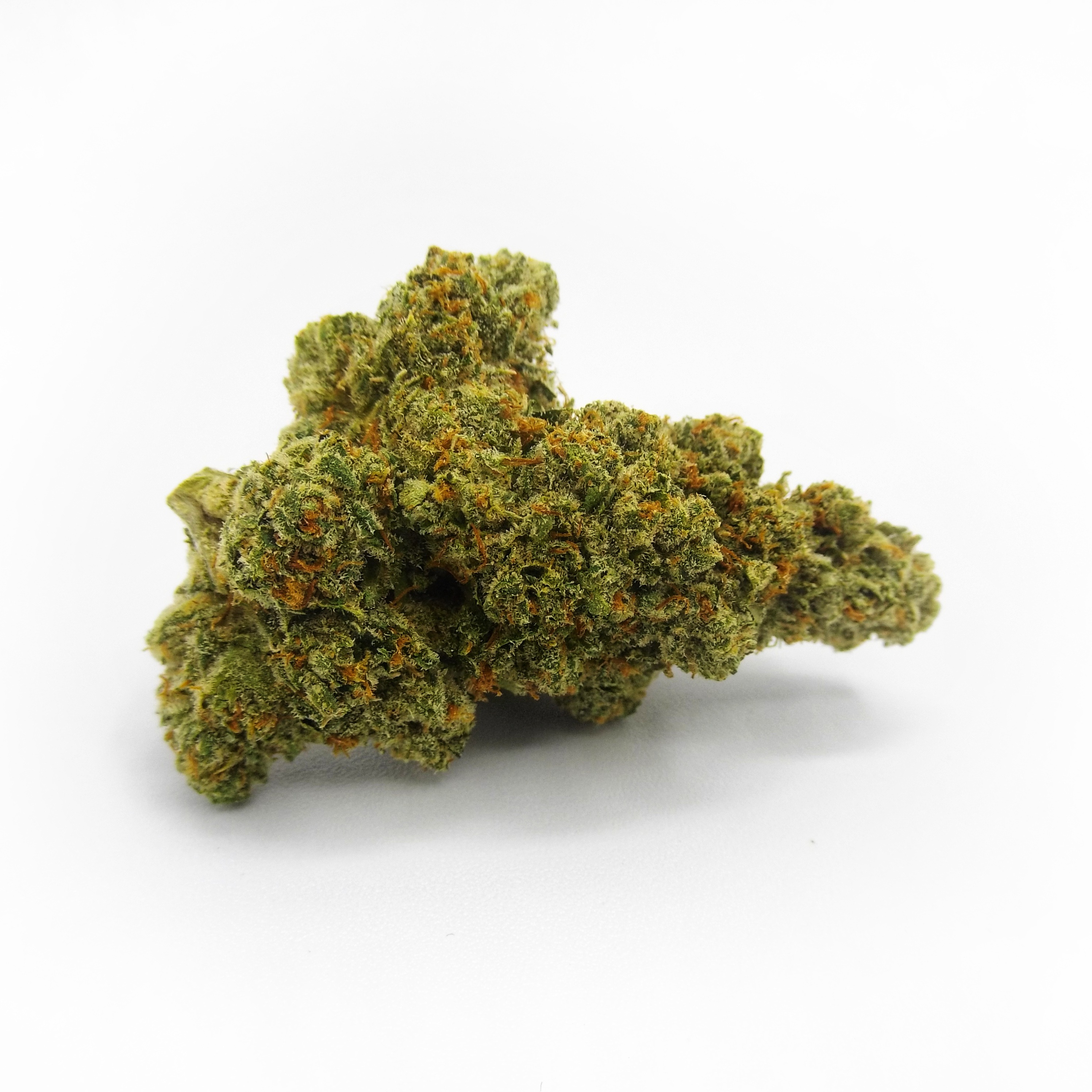 Photograph of product: Ice Cream Man Hybrid Flower