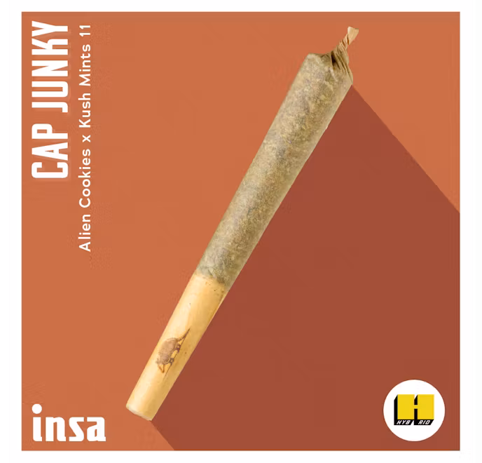 Photograph of product: Cap Junky |  Preroll | 1g
