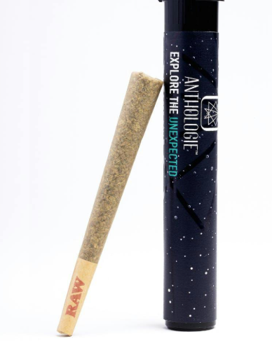 Photograph of product: Anthologie Chemdawg Kush 1g Preroll