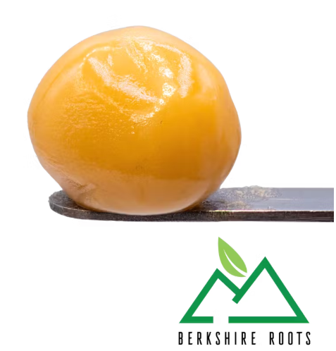 Photograph of product: Ice Cream Kush Live Rosin Badder