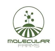 Photograph of product: Molecular Farms I Disposable I Grape Shunk I 1g
