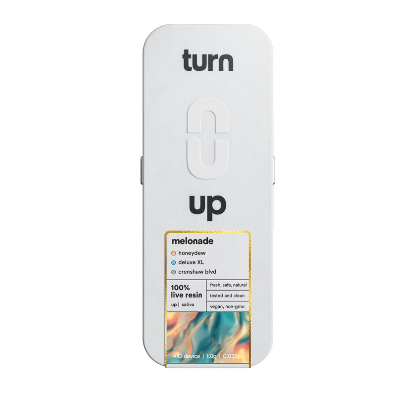 Photograph of product: Turn | Meloande Live Resin | 1G Disposable