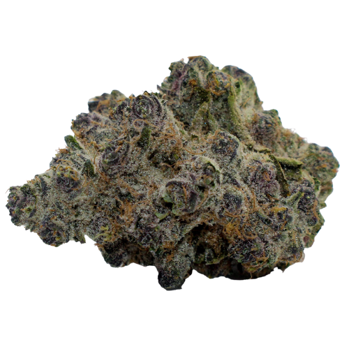 Photograph of product: Ghostbudsters Farm Halle Berry #1 - 14g