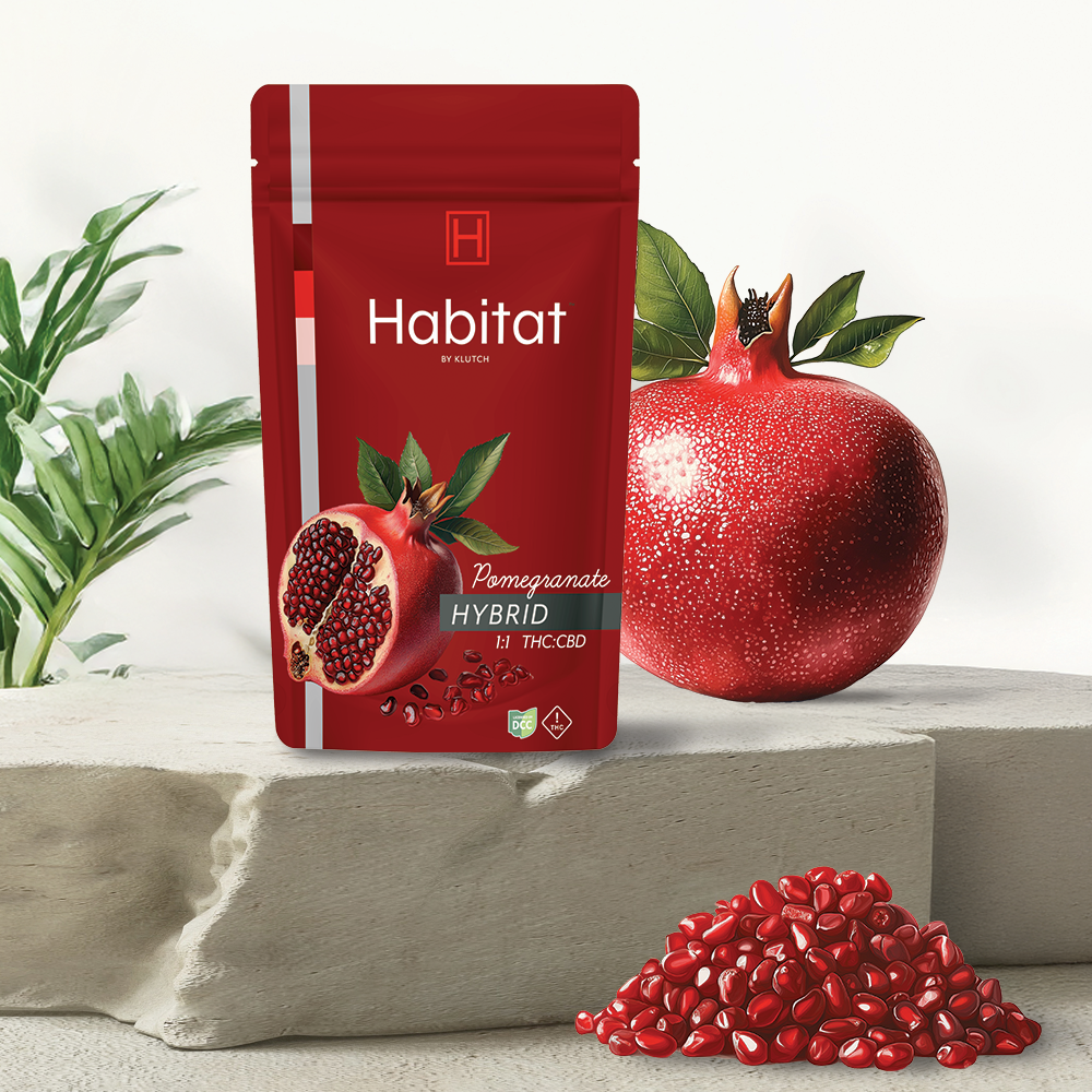 Photograph of product: | Pomegranate 1:1 Go Pack Hybrid Gummies |