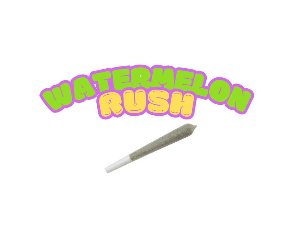 Photograph of product: Infused Pre-roll Watermelon Rush