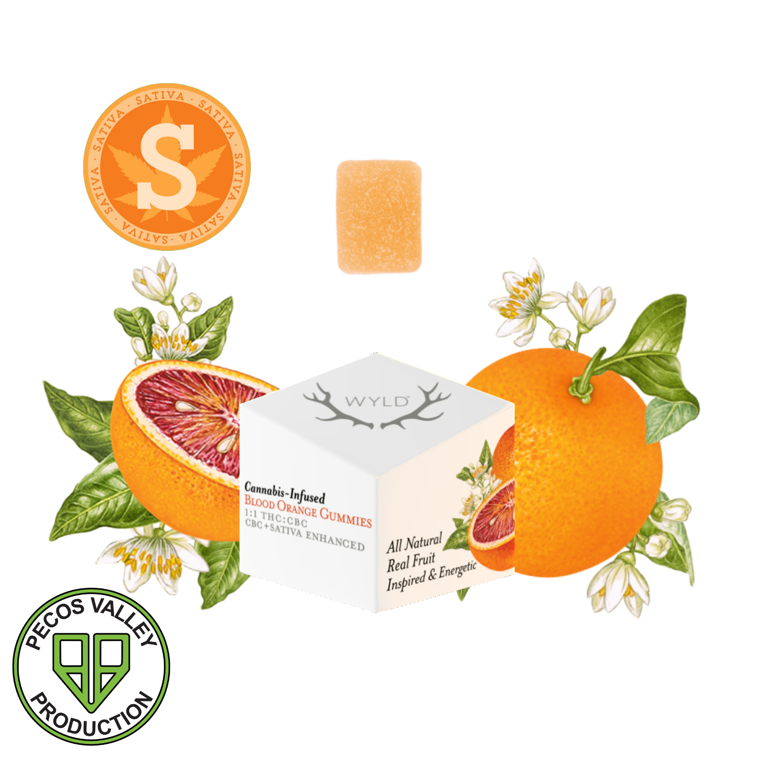 Photograph of product: Wyld | Edible TH-oui | Gummies 1:1 | 10pk | Blood Orange (SDH) | 100mgTH-oui/100mgCBC