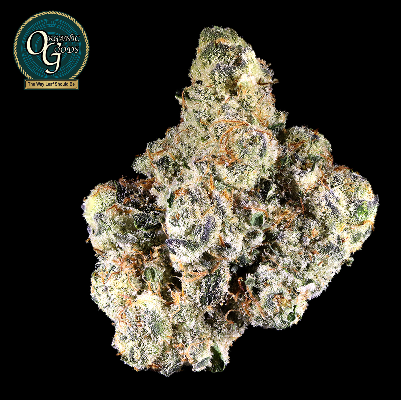 Photograph of product: Strawberry Mirage cultivated by Koala Tea Grows - 28g