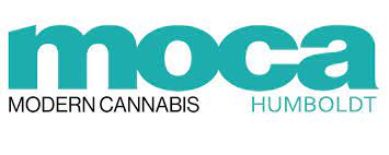 Photograph of product: NORTHERN LIGHTS #5 3.5G