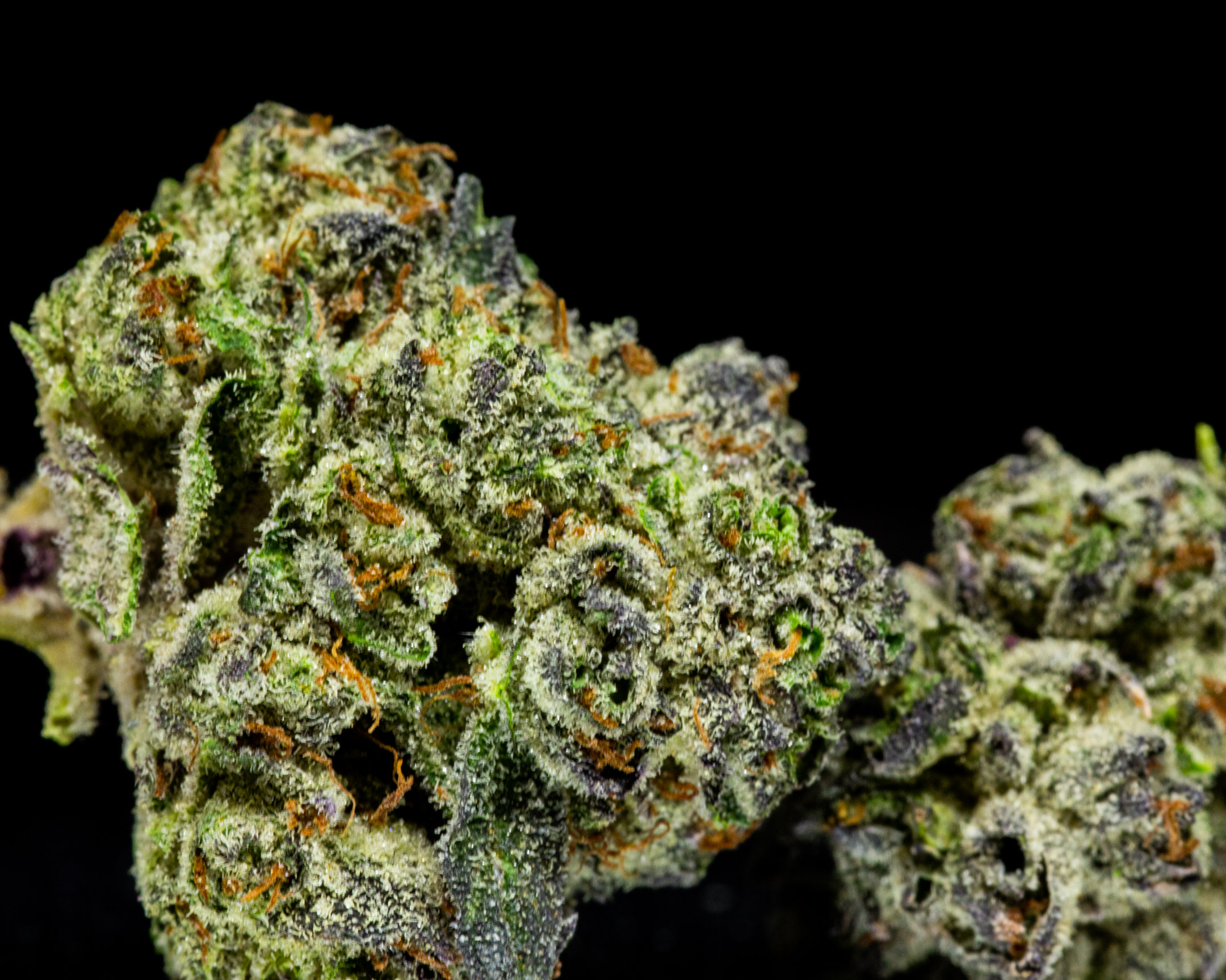 Photograph of product: Gold Shelf - Lilac Diesel (S) - 28g