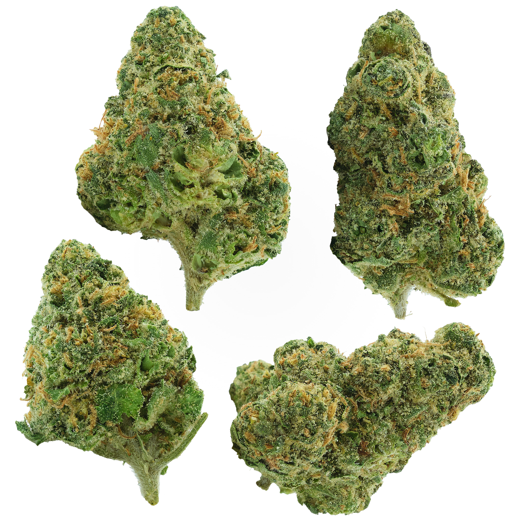 Photograph of product: Gotti Smalls - 28g