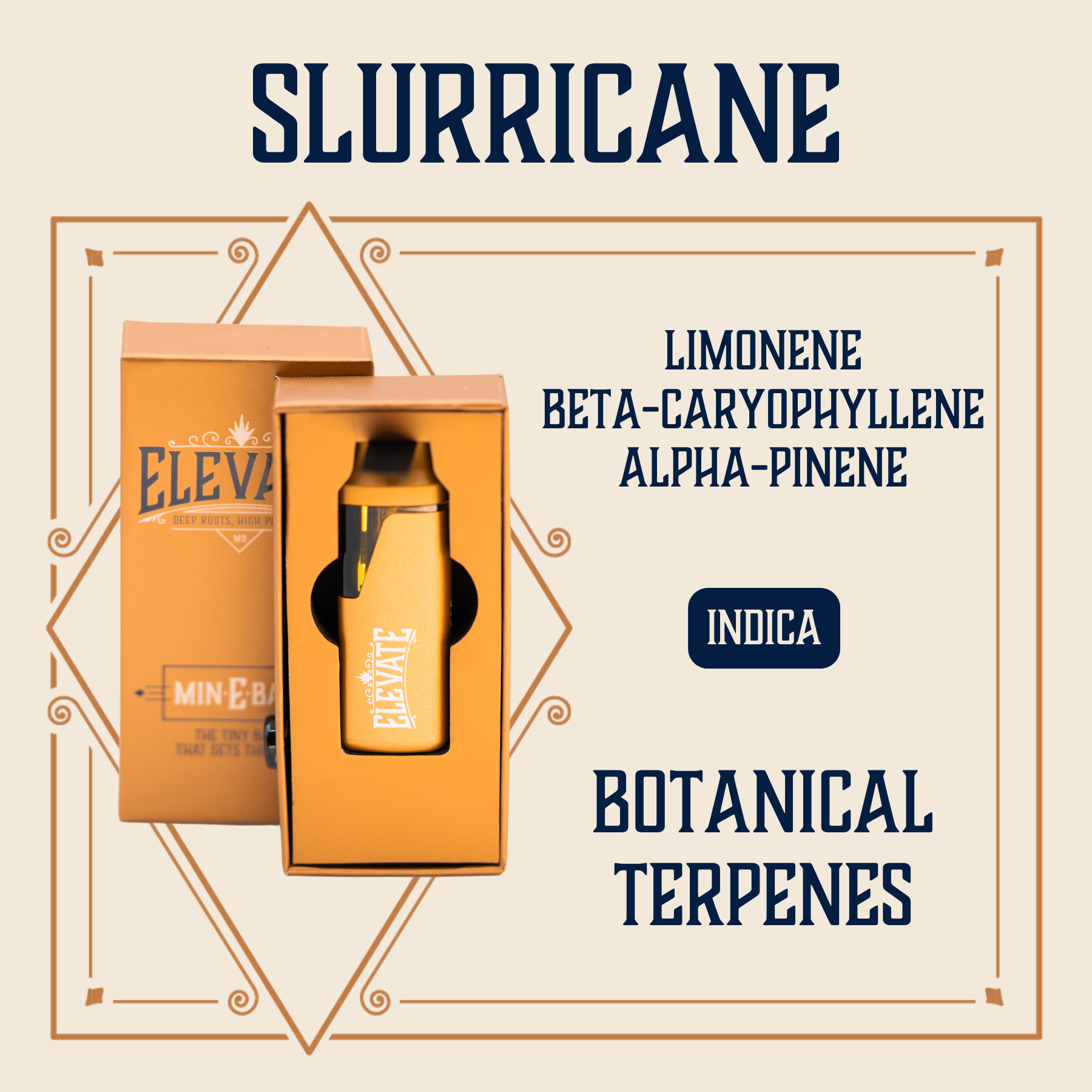 Photograph of product: Slurricane Botanical Min-E-Bar | 1g