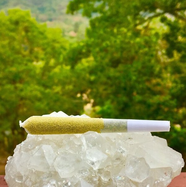 Photograph of product: Decibel 1.2g WILSON ZERO #3 Louds Infused Pre-Roll