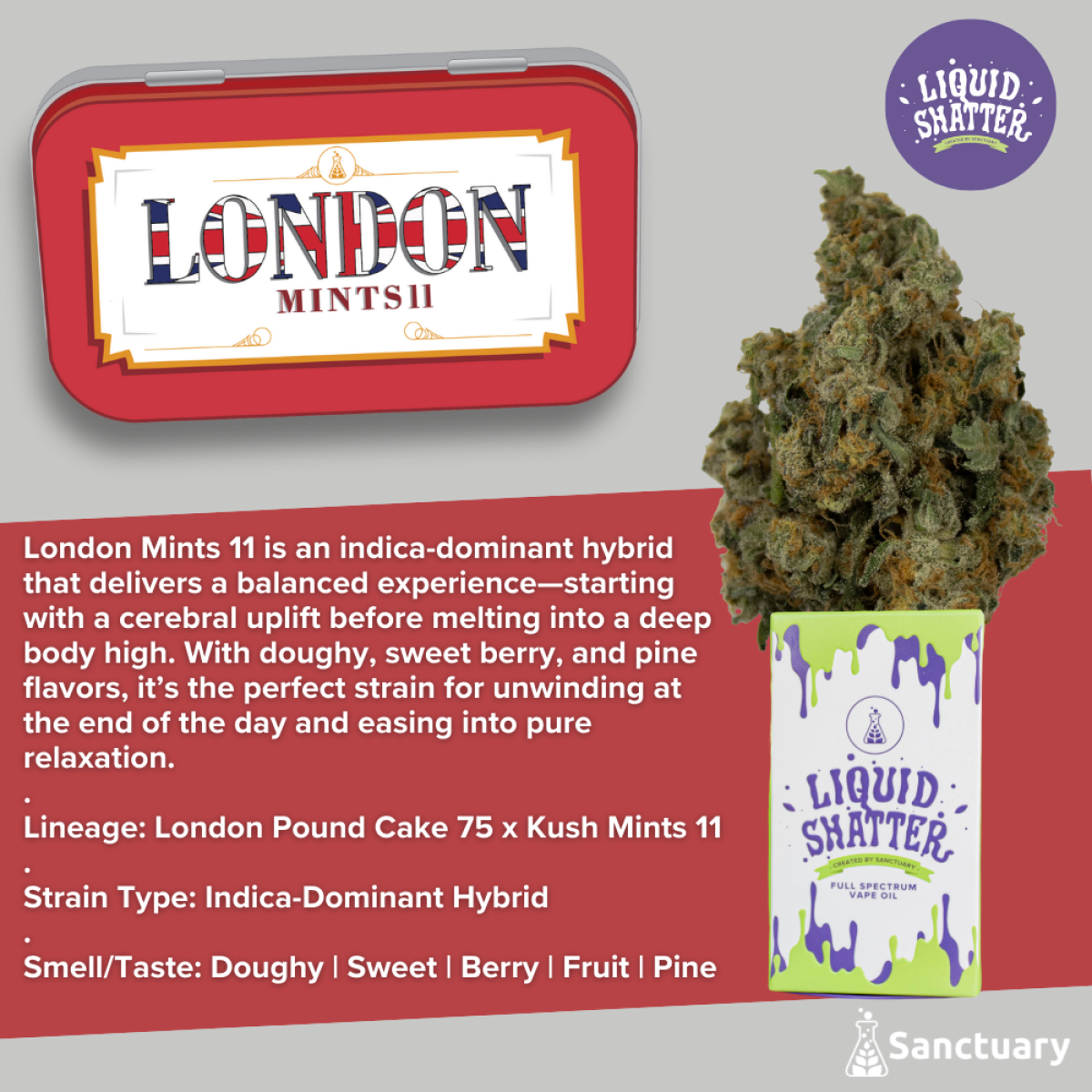 Photograph of product: London Mints 11 | Liquid Shatter | .5g Vape Product