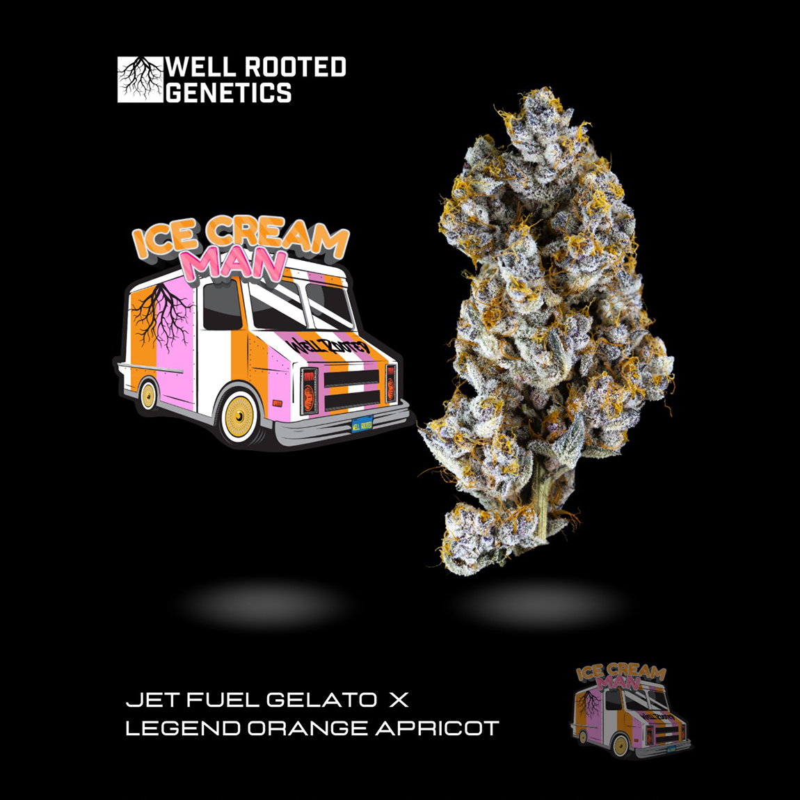 Photograph of product: Well Rooted | Ice Cream Man | 3.5g