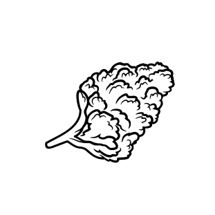 Photograph of product: Wedding Krasher 1g by SJS II