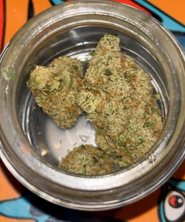Photograph of product: REVOLUTION - LEMON PUNK (3.5G) (H)