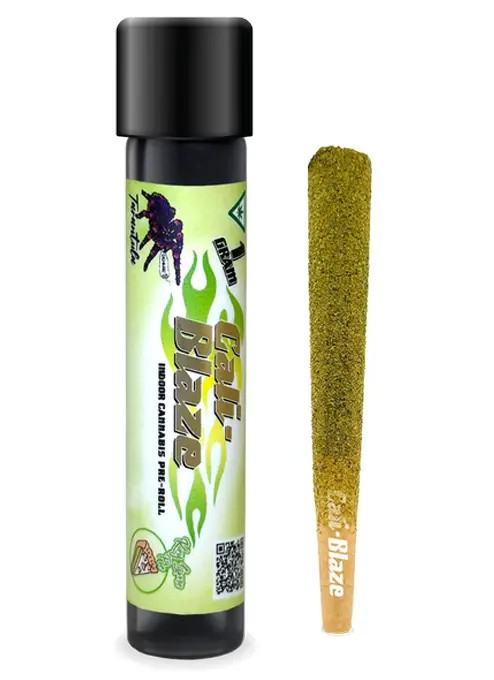 Photograph of product: Key Lime Pie - Tarantula Infused - 1g Pre-roll