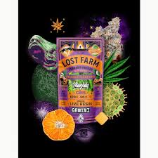 Photograph of product: ORANGE N DREAMS GEMINI CBN