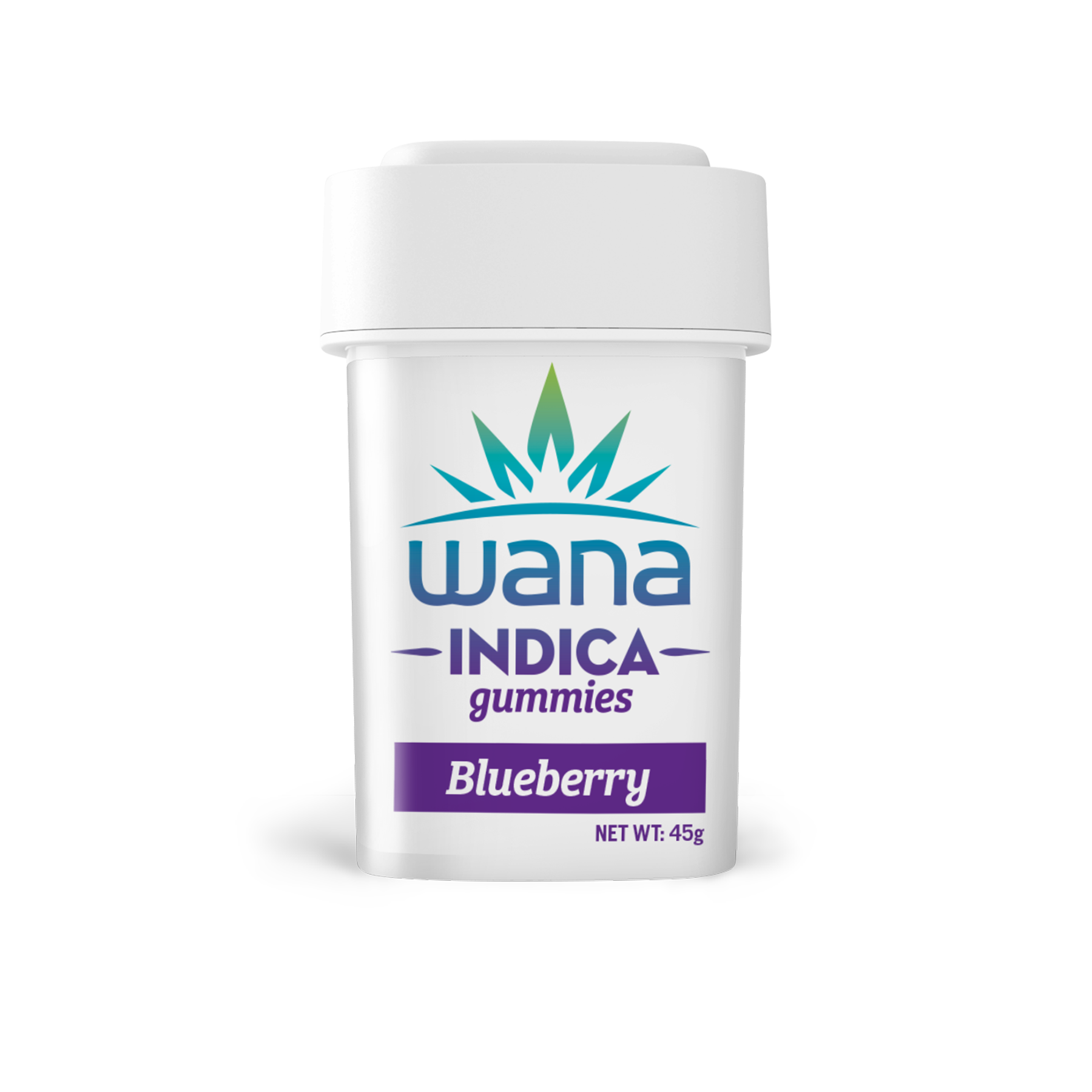 Photograph of product: Blueberry | Gummy 10-Pack