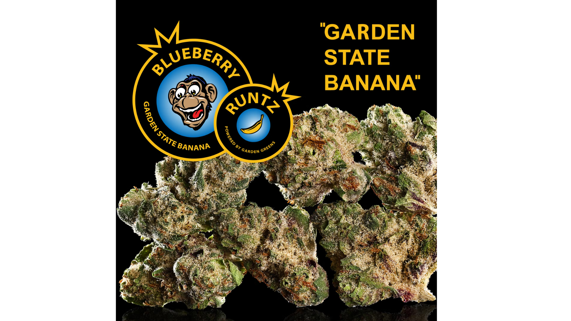 Photograph of product: Garden State Banana - Blueberry Runtz Pre-roll