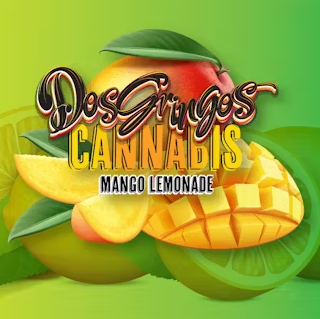 Photograph of product: Dos Gringos - Drink - Mango Lemonade - 100mg
