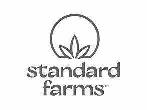 Photograph of product: NF1 (S) 1g Pre Roll