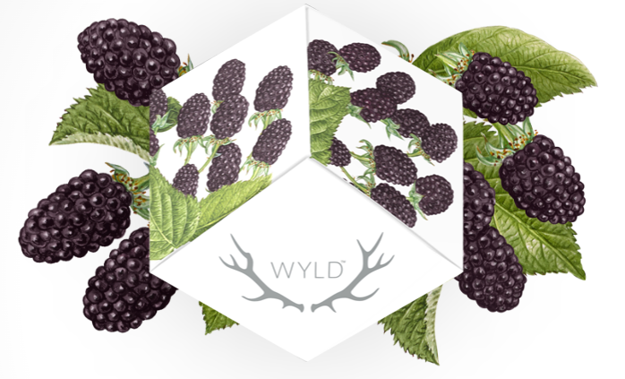 Photograph of product: Wyld Oui'd Gummies 100mg Marionberry