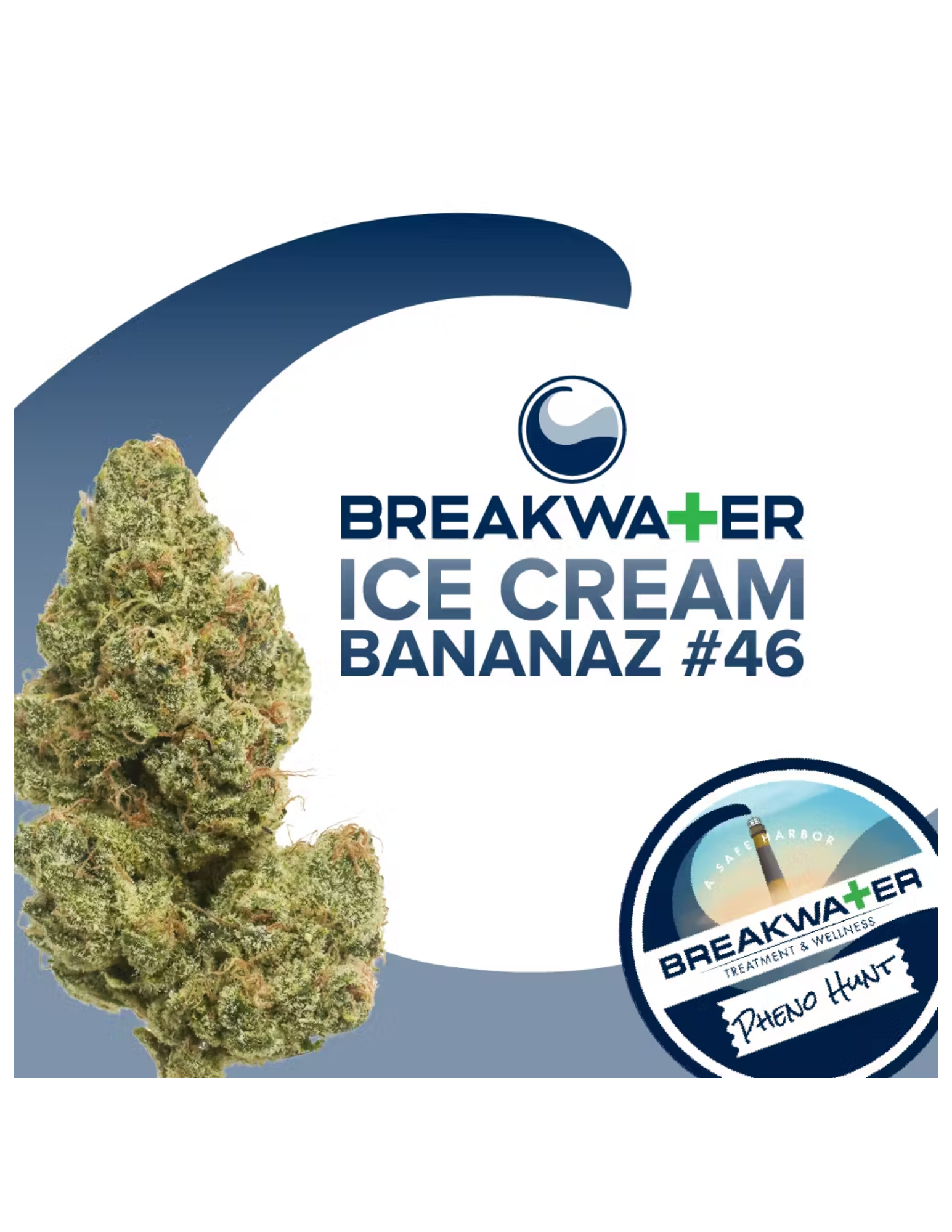 Photograph of product: Ice Cream Bananaz #46 - Bud - 3.5g