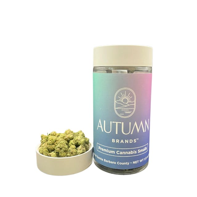 Photograph of product: Purple Push Pop | 14g Premium Smalls Flower