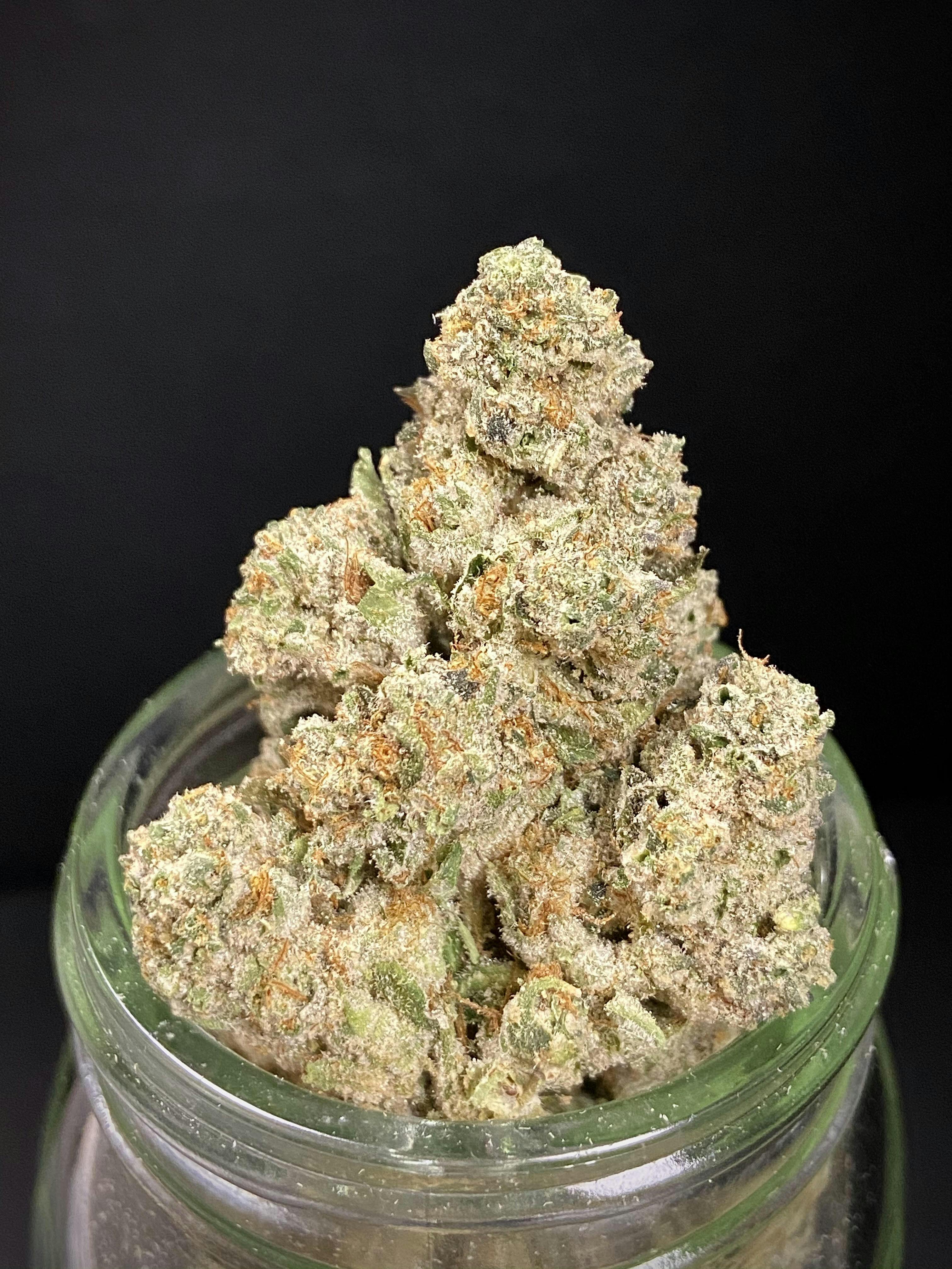 Photograph of product: GG #4 (Locol Love) "CONNOISSEUR SHELF"