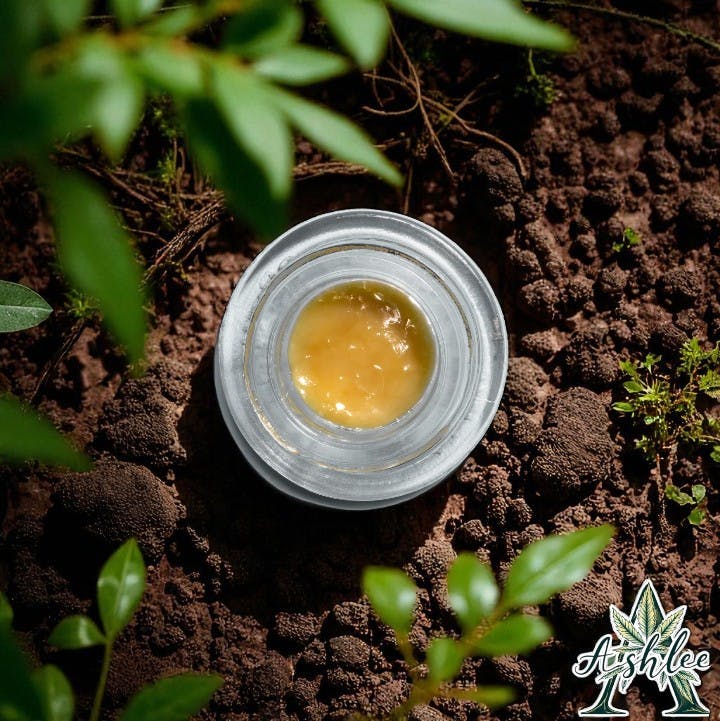 Photograph of product: INDIAN LANDRACE -  LIVE BADDER - 1 G