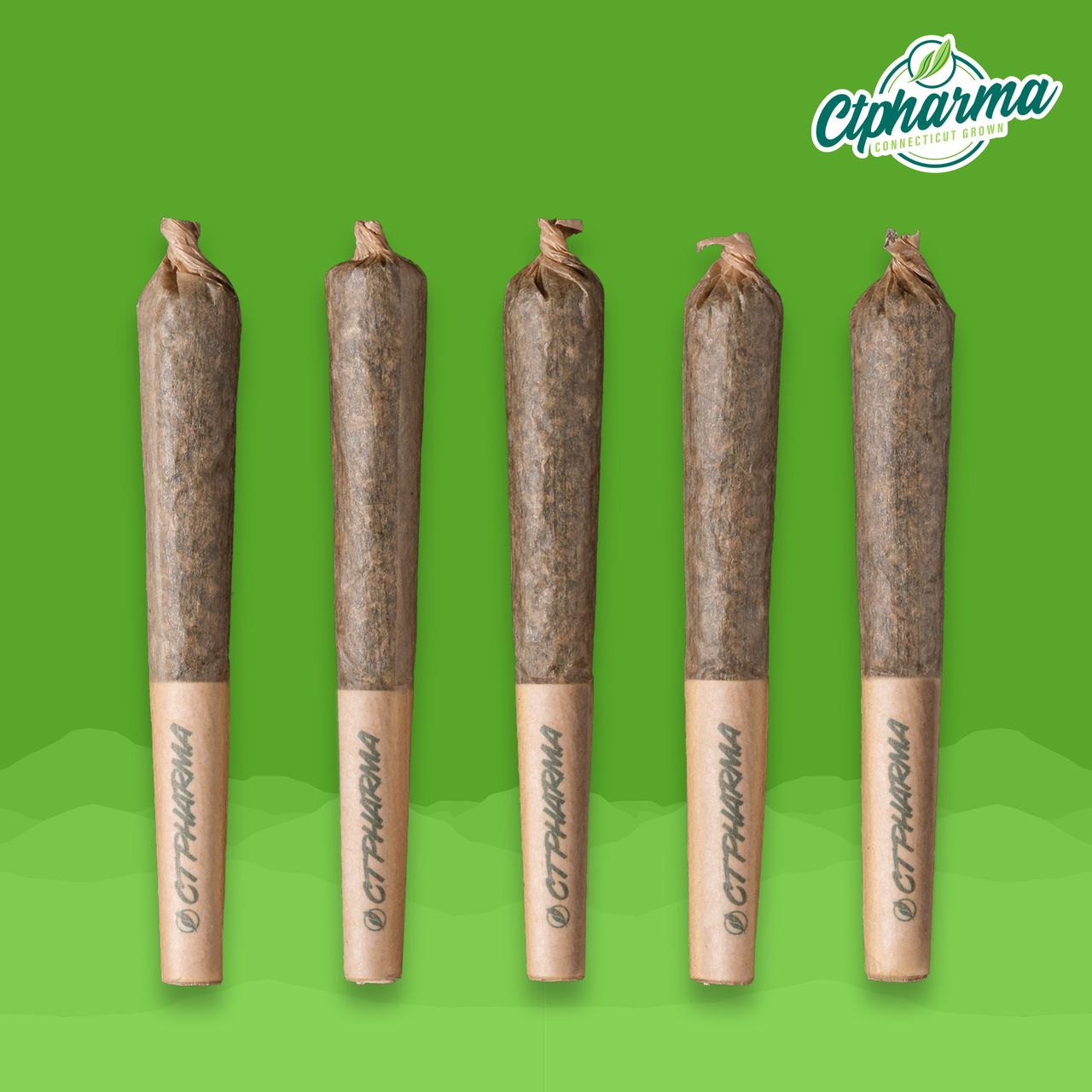 Photograph of product: CTPharma Full Tank Shorties 24.40% (H) 2g 5 Pack - 25976