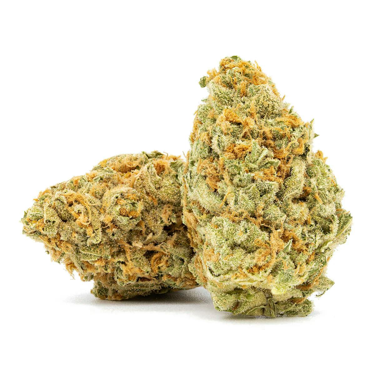 Photograph of product: Strawberry Guava | Flower - 