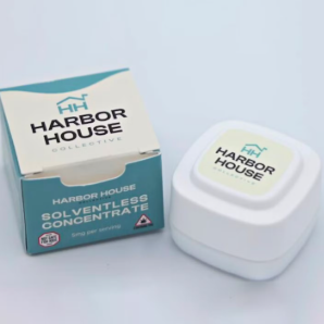 Photograph of product: Garlic Ice Cream | 2g | Rosin | 95.1% TAC