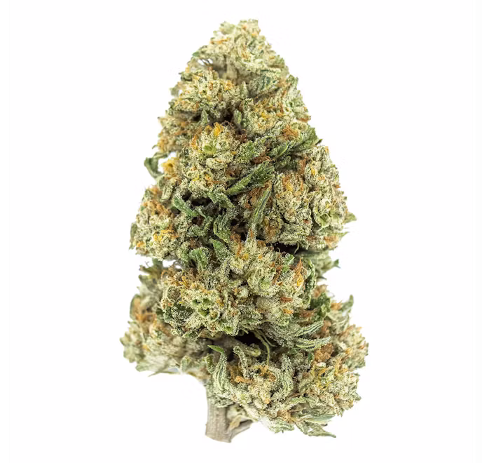 Photograph of product: Erva White CBG Flower 7g