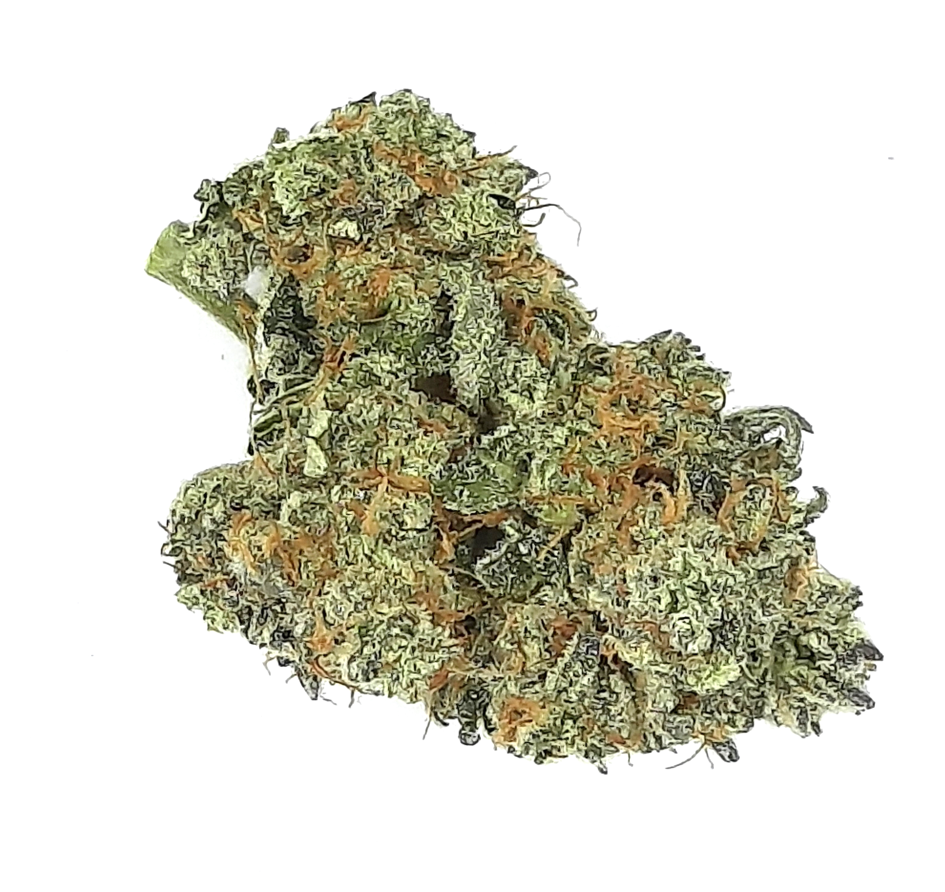 Photograph of product: Fog Dog | 3.5g