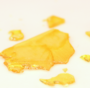 Photograph of product: FCC | Gator x Squeeze Shatter