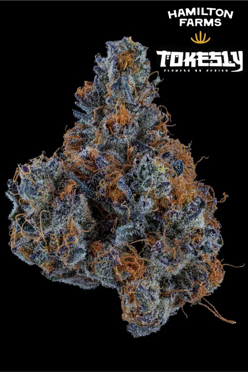 Photograph of Product: Strawberry Milano | Flower - g
